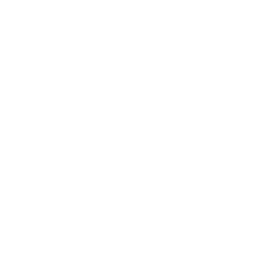 Company Profile